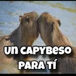 un capybeso para ti