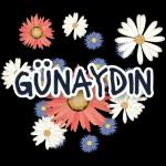aynur