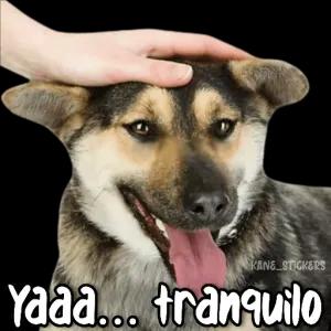 Yaaa... tranquilo - getsticker.com