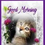 spend the morning with my lover❤️😘