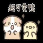 天竺鼠布丁～～超可愛鴨