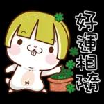 可愛假髮兔🐰🐰🐰