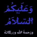 عطوه كرتون بيض