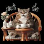 แมวถังแกสอ้วนตุ้บ 03