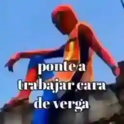 Spiderman 