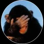 2024 Нарру, New Year