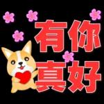 可愛柯基- 實用日常用語