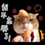 在幹森麼？小貓咪在呼叫中》〉》