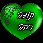 רועי 2
