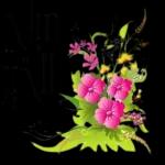 الصلاة جامعة