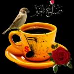 حفظ لكم الله من كل ســوء 