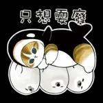 鯊魚貓咪 2