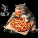 แมวถังแกสอ้วนตุ้บ 03