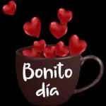 día de la ma