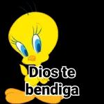 piolin.