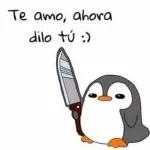 enojadito xq zi