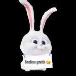flork and bunny