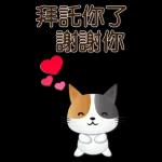 實用大貼圖 職場日常 可愛花貓