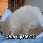 snoopy 