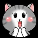 Cats! For reply