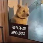 Qué se sentirá ser feo?