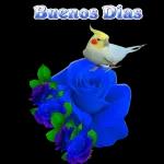 ¿La mujer de quien?