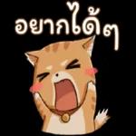 ต่อสิ่งที่ไม่จำเป็นในชีวิตเรา 