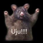 Leyendo tus mentiras