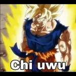 DRAGÓN BALL SHITPOST