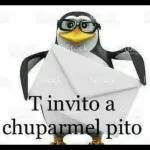 Steck Stock Stack Tin T invito a chuparmel pito