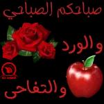 اوكيه هبيبي