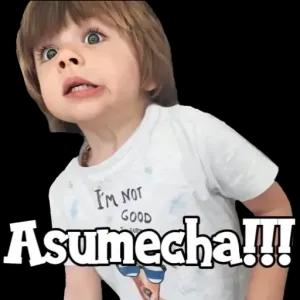 I'M NOT Asumecha!!! - getsticker.com