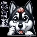 好二哈-日常白目篇