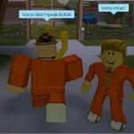 roblox memes