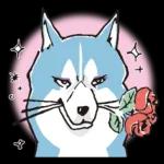 柴犬可愛使用貼圖合集