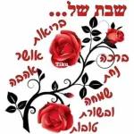 לימור
