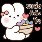 ตุ๋ยเต่า