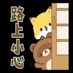 小狸貓與小狐狸