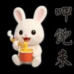 可愛白兔 夏日常實用問候