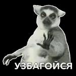 доброе утро 