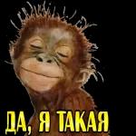 Прости меня!