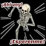 Pegatinas gratis