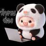 หมูแพนด้าน่ารักจังเลย