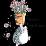 immer bei dir sein At