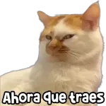 Naaa creeo!