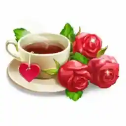 ватсап