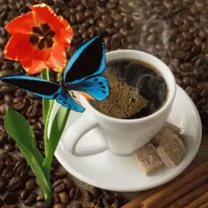 BUXWXf