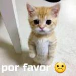 Manuel