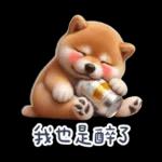 醉酒柴柴✩一醉方休