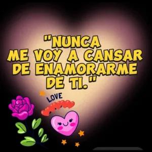 "NUNCA ME VOY A CANSAR DE ENAMORARME DE TI." - getsticker.com